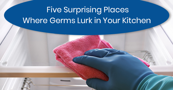 Five Surprising Places Where Germs Lurk in Your Kitchen