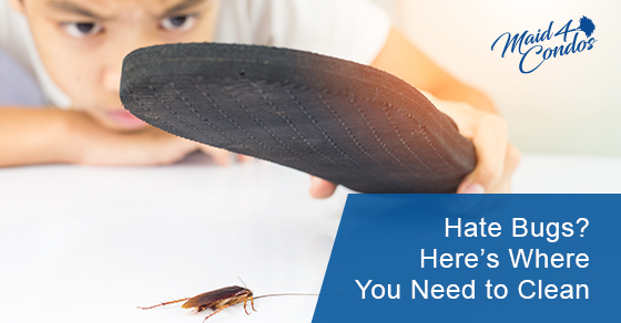 Cleaning tips to get rid of bugs