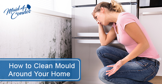 How to clean mould around your home